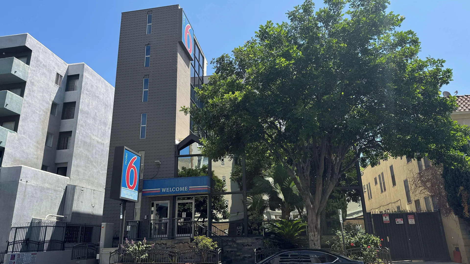 Staying In Hollywood: 5 Budget Hotels Compared